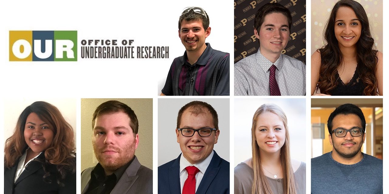 Office of Undergraduate Research awards 12 research scholarships