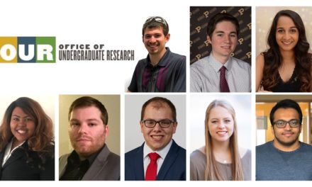 Office of Undergraduate Research awards 12 research scholarships